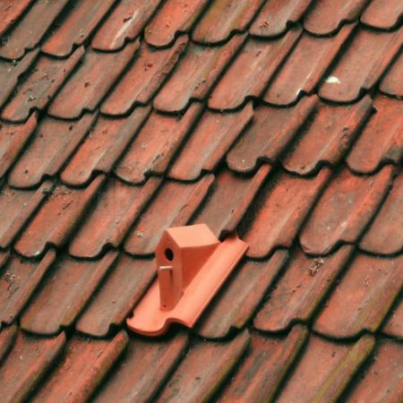 Kluiken's birdhouse gives birds a place to nest and it matches your tile roof.