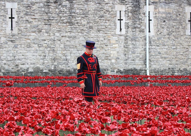 Public Art | Red Ceramic Poppies Recall the Slaughter of World War One