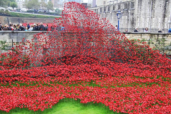 Public Art | Tower of London Poppies Complete, Artists to be recognized by Queen