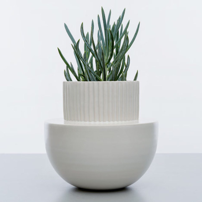 Design | “Arizona” cacti pots by mpgmb