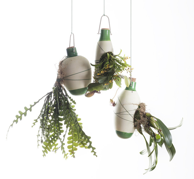 Design | Dossofiorito’s “Epiphytes:” Vases for Surface-Rooting Plants