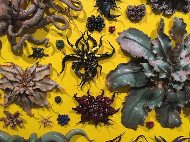 Exhibition | Christopher Adams’ Biomorphic Forms at Harvard