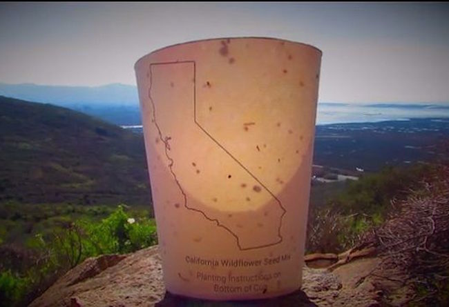 Technology | Biodegradable, Seed-Laden Coffee Cups