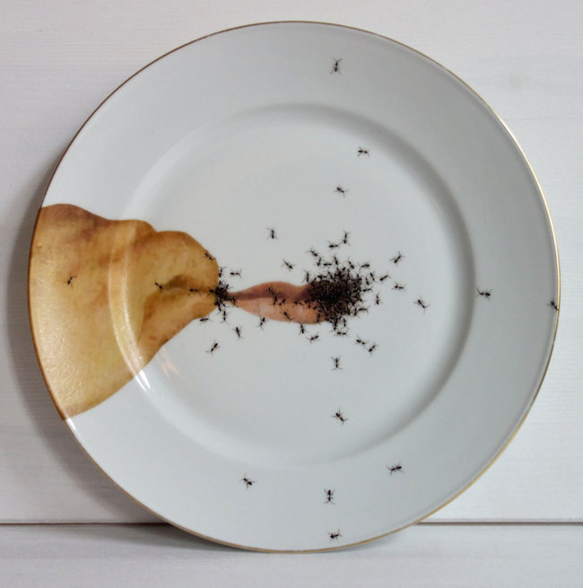 Porcelain Plates Swarming with Hand-Painted Ants