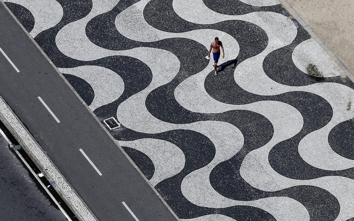 Celebrating Signature works of Roberto Burle Marx