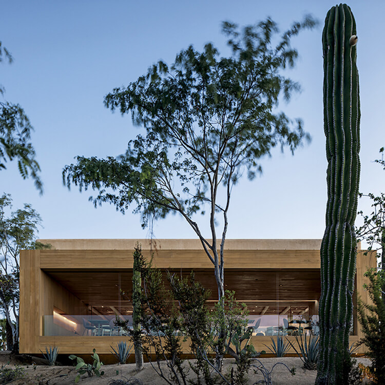 Architecture | Studio Arthur Casas Reinterprets the Mexican Courtyard, Features Walls of Pots